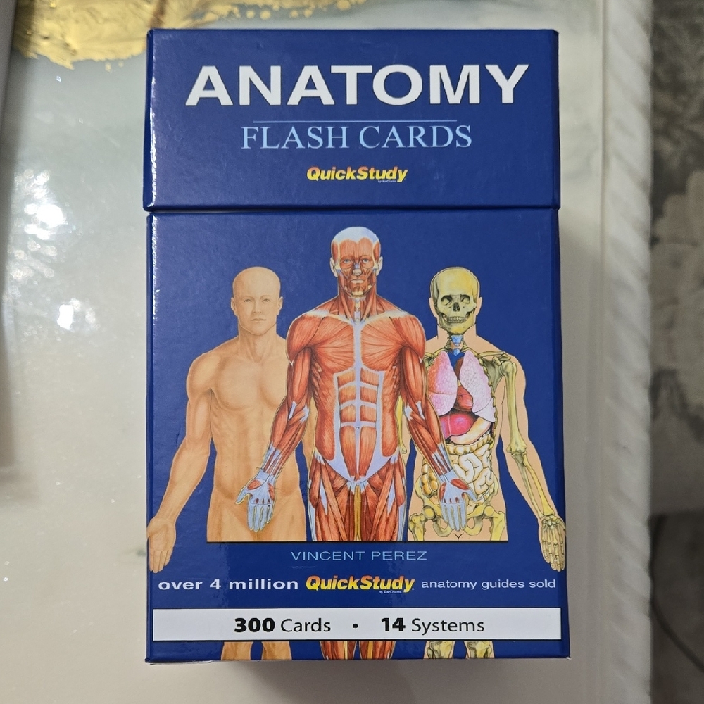 Anatomy Flash Cards by QuickStudy